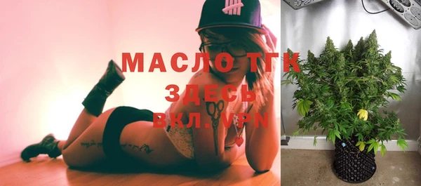 гидра Елизово