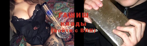 гидра Елизово