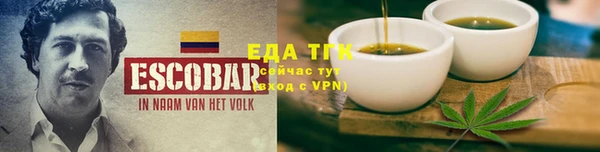 гидра Елизово