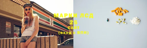 гидра Елизово