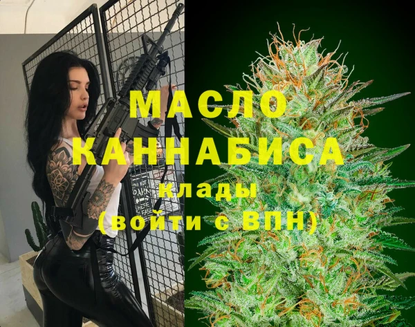 гидра Елизово