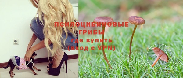 мескалин Яровое