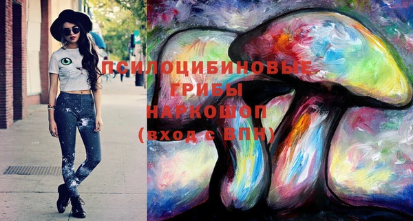 2c-b Ельня